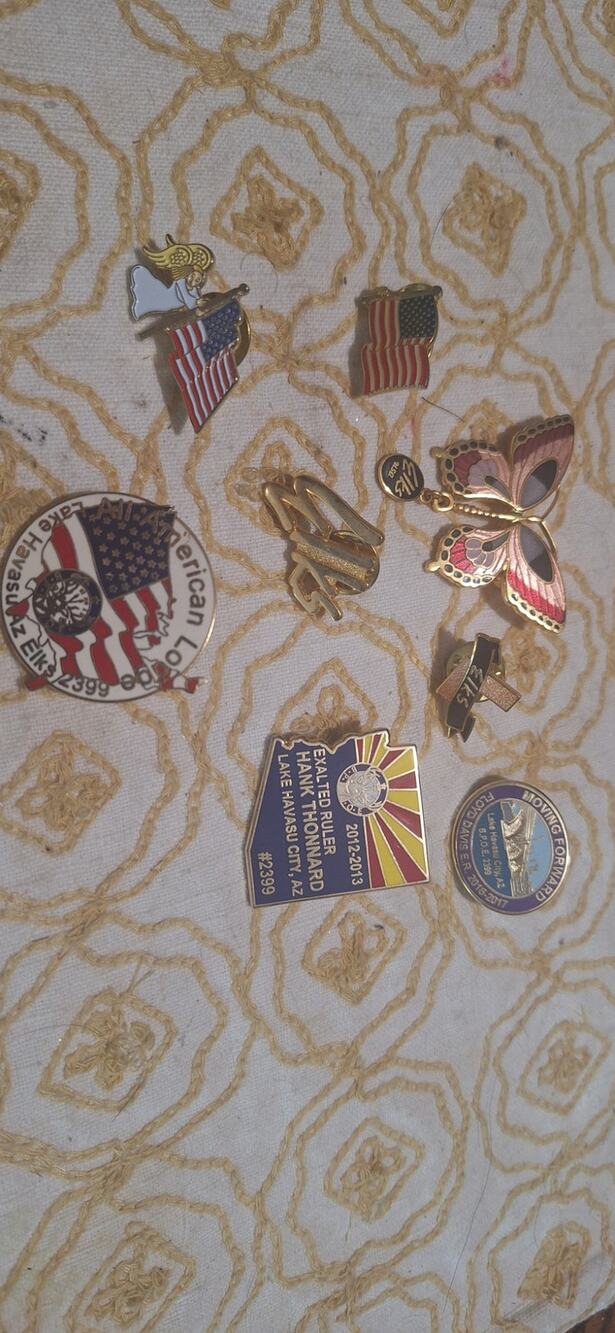 Lot of 8 Elks pins- Lake Havasu City, AZ & others- excellent condition BPOE